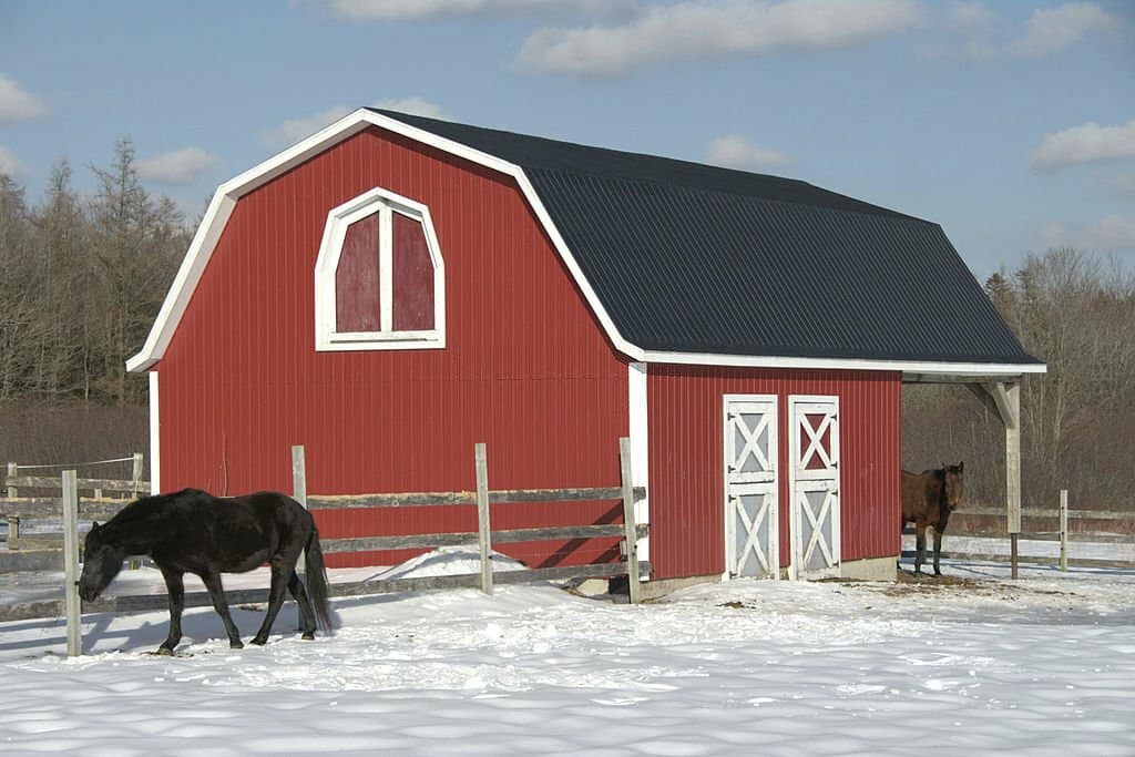 Barn with two horses next to it during winter