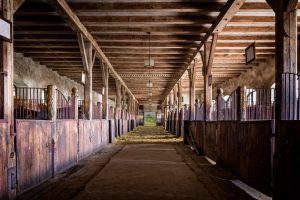 Framed Horse Barn