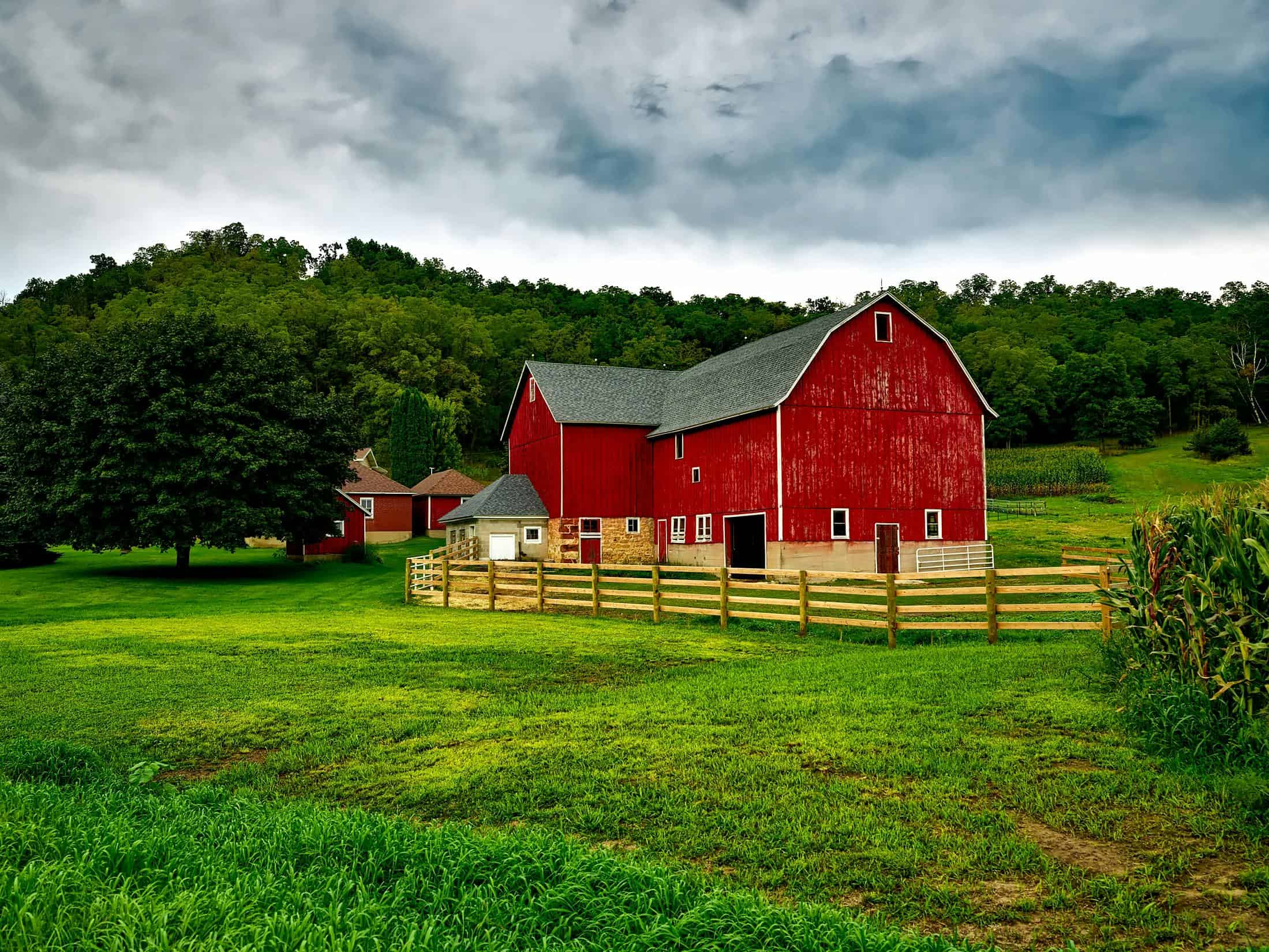 Pole Barns Are the Perfect Solution For your Farm