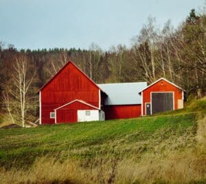 Roof and Siding